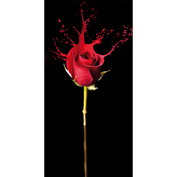 Модерен принт за стена, RED FLUID от Pintdecor